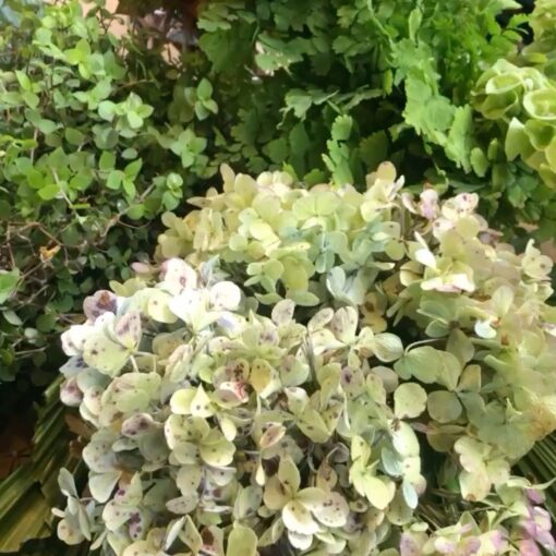 Lounge aconchegante, colorido e lindo para inspirar sua sexta! @toninhoaleixodec…