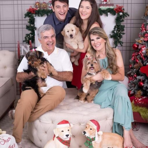 Quando montamos o estúdio de Natal para a @rosianemarinho , pensei logo em fazer…