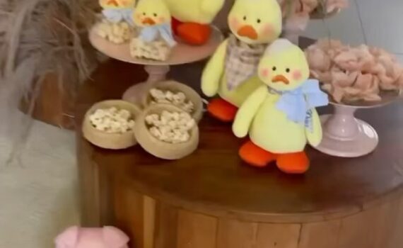 Fazendinha do Davi  

Com uma temática que nos lembra a vida no campo ou na faze…