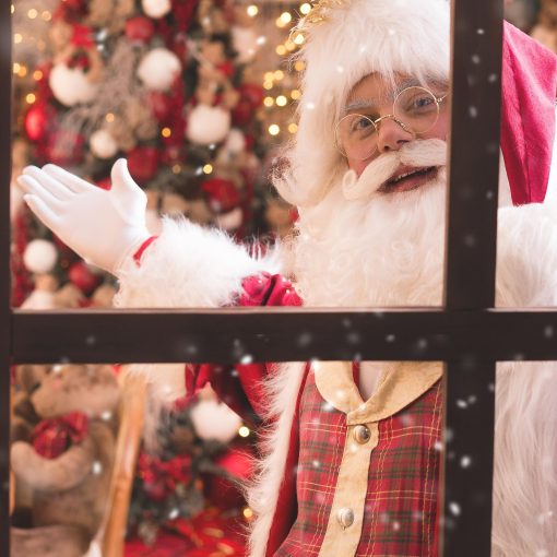 Apresento a vocês “A Casa dos Ursos”, nosso especial de Natal! Este ano, nosso cenário será ainda mais especia…